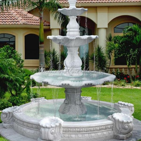 4567890خهعغالب