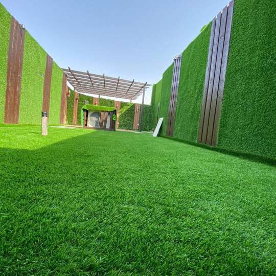 WhatsApp-Image-2022-05-10-at-7.46.01-PM