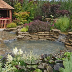 The,Pond,Area,In,The,Reflections,Aquatic,Garden,With,Planted