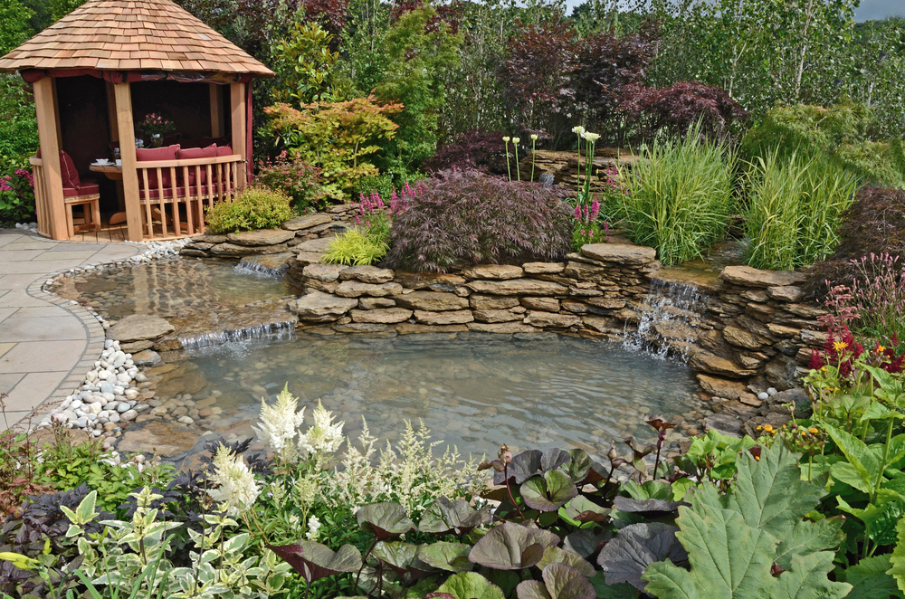 The,Pond,Area,In,The,Reflections,Aquatic,Garden,With,Planted